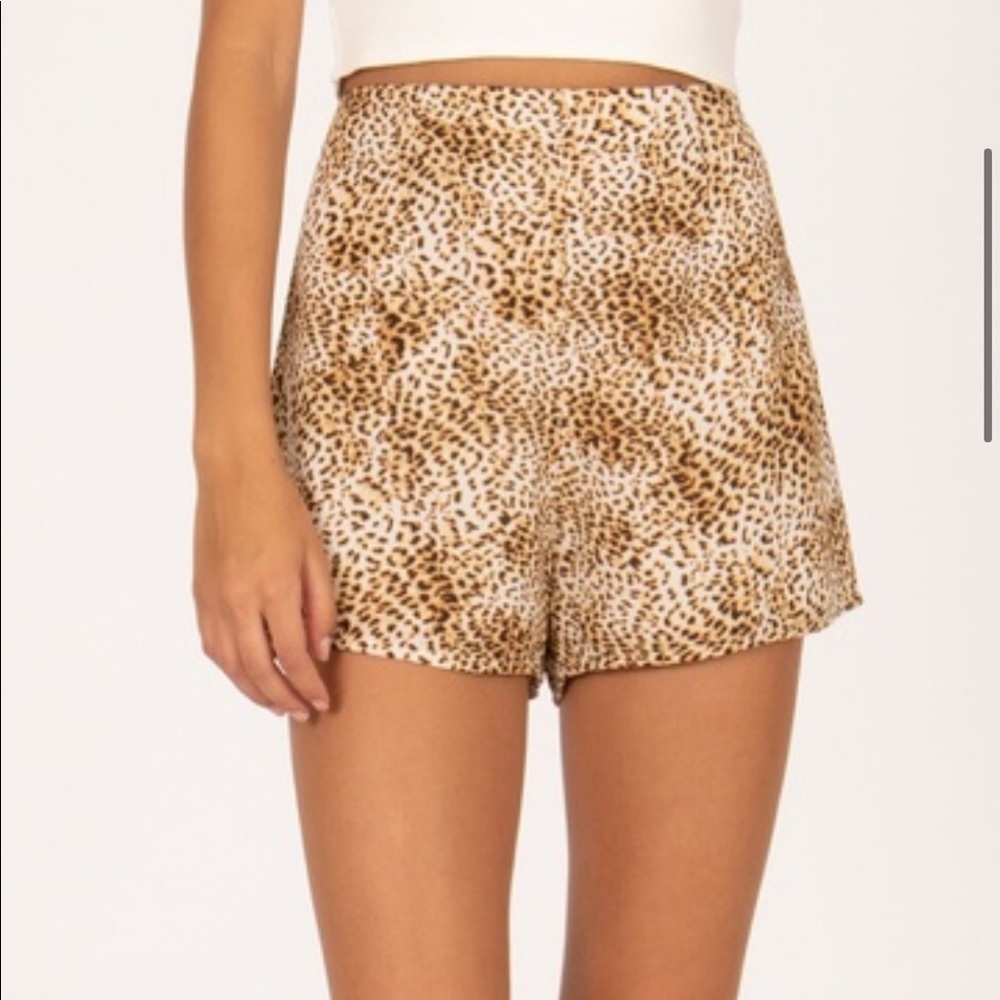 Amuse Society Cheetah shorts NEW